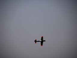 fliegen0903 34